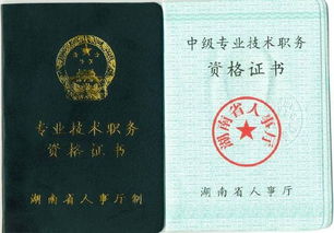 評中級職稱(chēng)技術(shù)總結(評中級職稱(chēng)技術(shù)總結)