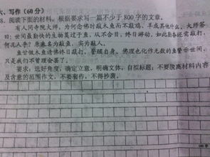好作文好開(kāi)頭帶題目