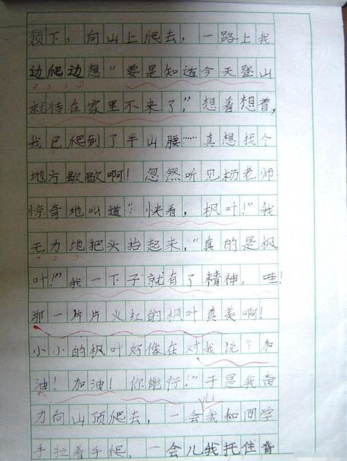 那一天我們去爬山作文500字作文開(kāi)頭