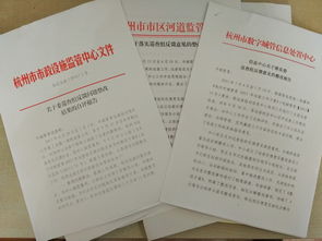 巡視整改工作自查報告(落實(shí)巡視整改工作總結)