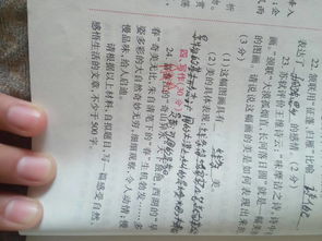期盼美好600字作文開頭