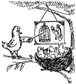 水里魚兒也用保護(hù)傘作文開頭