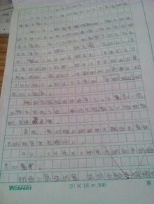 難忘的事作文運動(dòng)會(huì )600字作文開(kāi)頭和結尾