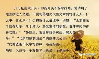請(qǐng)讓我來(lái)幫助你好的作文開(kāi)頭
