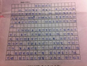 團結同學(xué)幫助同學(xué)的作文600字作文開(kāi)頭