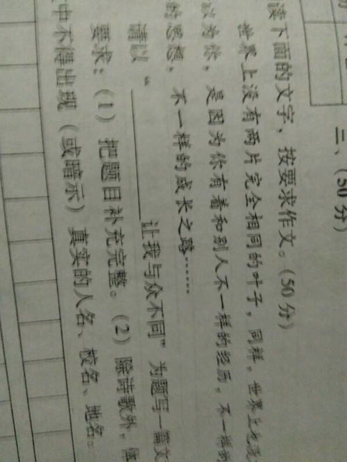 什么讓我與眾不同作文開頭