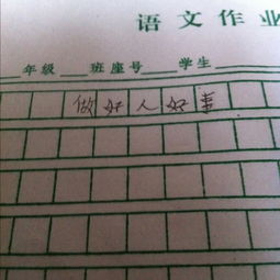 最好的好事作文開(kāi)頭