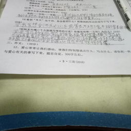 幫助別人自己幸福的作文開(kāi)頭結尾