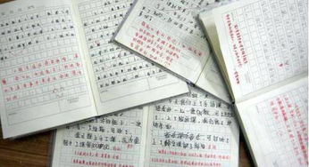 溫柔的作文開(kāi)頭怎么寫(xiě)