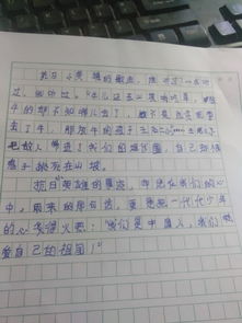 沒(méi)有把握好機會(huì )的作文開(kāi)頭