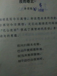 作文《藏在語(yǔ)文書(shū)里的秘密》的開(kāi)頭