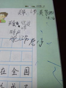 家鄉美景美食作文開(kāi)頭