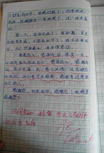 最敬佩的人作文好開(kāi)頭和結尾