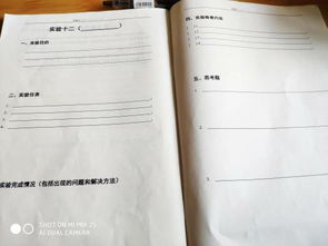 大學(xué)大學(xué)計算機實(shí)驗報告(大學(xué)計算機實(shí)驗報告范例)