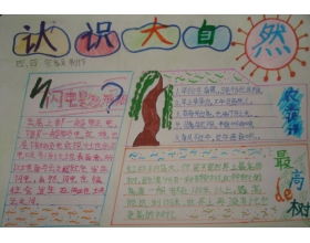 以悟為話(huà)題的作文開(kāi)頭
