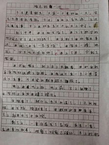 幸福的時(shí)刻的作文開(kāi)頭怎么寫(xiě)