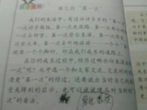難忘的一張照片作文好開(kāi)頭