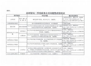 政務(wù)公開(kāi)自查整改報告(年政務(wù)公開(kāi)自查整改報告（條例） )
