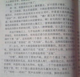 我身邊的新農村的作文開(kāi)頭