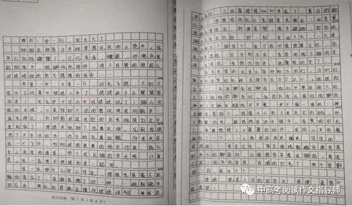 那一刻我長(cháng)大了作文排比句開(kāi)頭