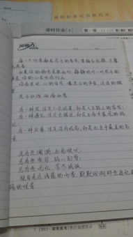 高中作文開(kāi)頭200字好段