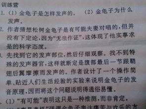 現在我不再作文600字作文開(kāi)頭