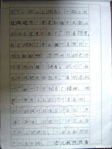 1000字爬山作文高中作文開頭