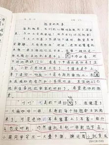 關(guān)于描寫(xiě)一個(gè)同學(xué)的作文(描寫(xiě)一個(gè)XX同學(xué)的作文)