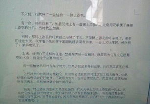 用排比和對比寫(xiě)花的作文開(kāi)頭