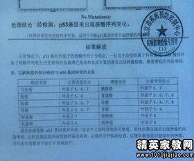 關(guān)于規(guī)范辦學(xué)自查報(bào)告(關(guān)于規(guī)范辦學(xué)行為的自查報(bào)告)
