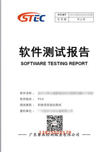 科技項目驗收總結報告(項目驗收總結報告)