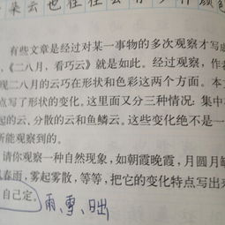 描寫(xiě)雪的作文的開(kāi)頭