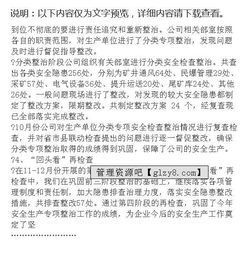 專(zhuān)項整治工作總結報告(交通服務(wù)水平專(zhuān)項整治工作總結報告)