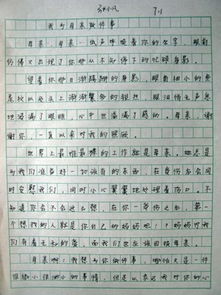 感恩老師中秋節作文開(kāi)頭結尾