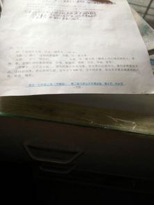 特別的她作文600字開(kāi)頭