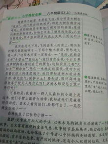 樹(shù)木的重要性的作文開(kāi)頭