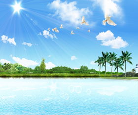 夏天的景物描寫作文開頭結尾
