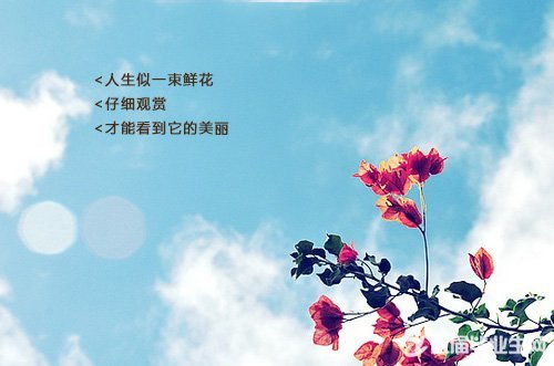 執著(zhù)而美麗作文開(kāi)頭
