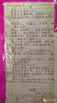 本心依然作文開(kāi)頭