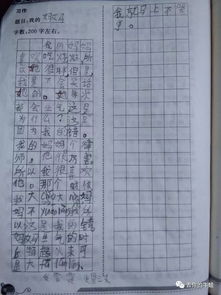 我和我的母親作文開(kāi)頭