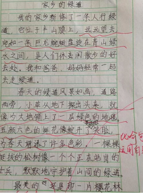 我想去作文600字作文開(kāi)頭