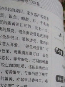 那段在家鄉的時(shí)光作文600字作文開(kāi)頭