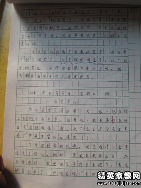 綠豆的成長(cháng)日記的作文開(kāi)頭