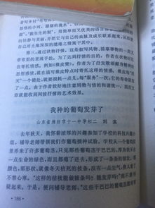 綻放1000字作文開頭