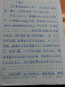 學(xué)校開(kāi)運動(dòng)會(huì )描寫(xiě)團結的作文開(kāi)頭結尾