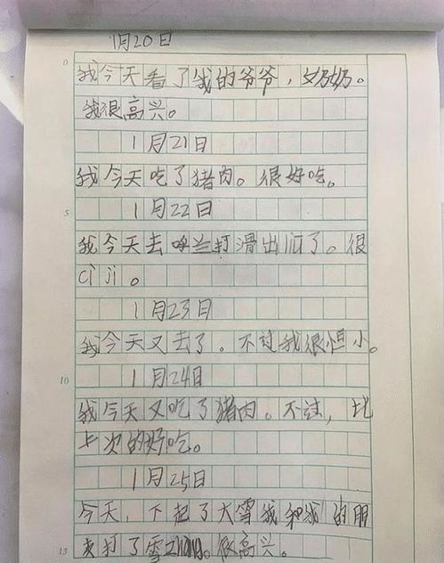 作文開(kāi)頭語(yǔ)關(guān)于寒假的