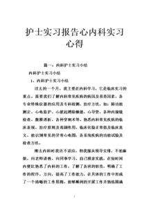 護士實(shí)踐報告范文(護士實(shí)踐報告范文)