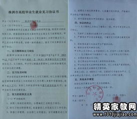 審計社會(huì )實(shí)踐報告(會(huì )計審計專(zhuān)業(yè)生社會(huì )實(shí)踐報告)