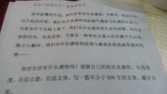 以感悟名言為題目的作文開(kāi)頭和結尾