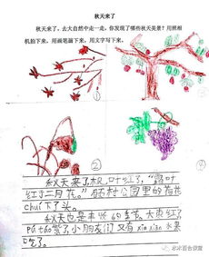 第一次經(jīng)歷作文開(kāi)頭結尾